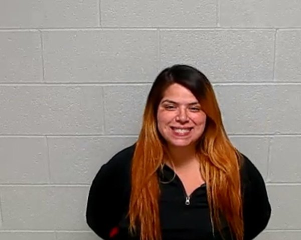 Mugshot of LISETTE REYES