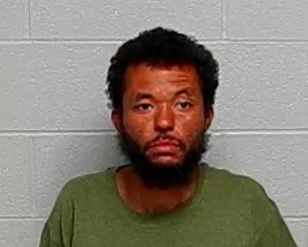 Mugshot of JAMES L WILLIAMS