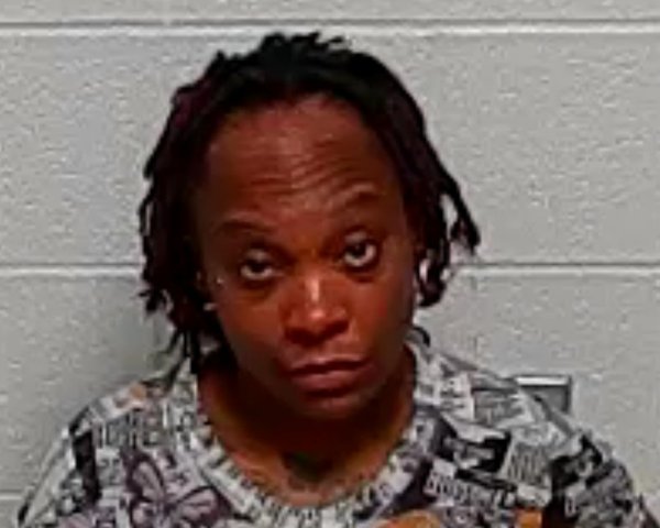 Mugshot of DIONNA M SILER