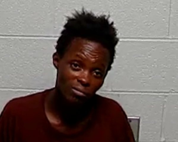 Mugshot of DENISE L TURNER