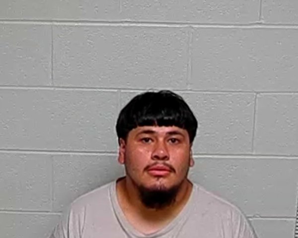 Mugshot of LUIS FLORES