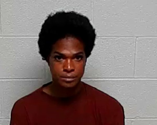 Mugshot of DONELL T ADENEKAN