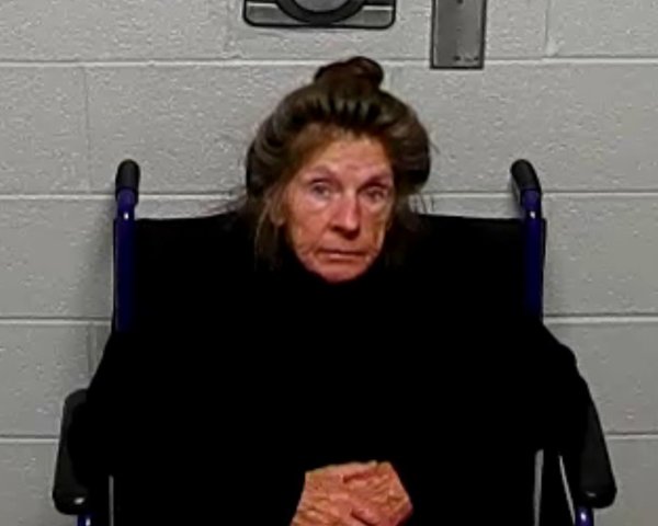 Mugshot of DOROTHY ANN MCGOVERN