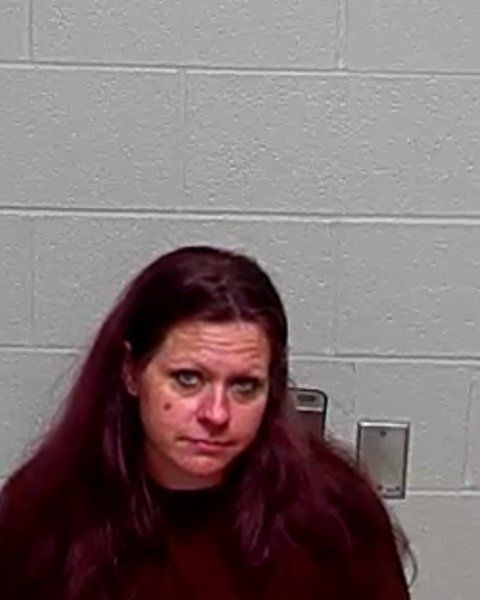 Mugshot of DANIELLE M RAKSTAD