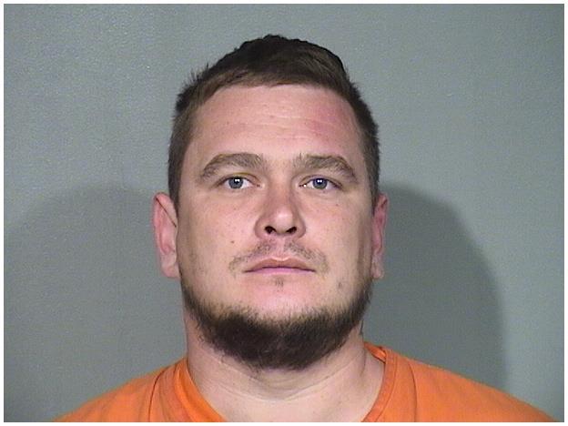 Mugshot of VIKTOR BASHA