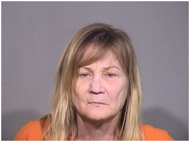 Mugshot of KELLY A SHAEVITZ