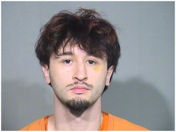 Mugshot of MICHAEL L SVETANOFF