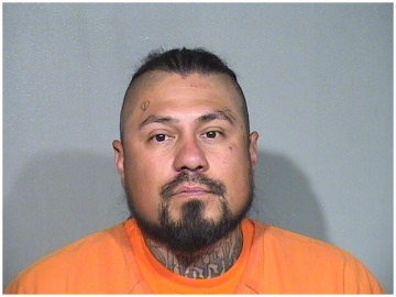 Mugshot of JULIO C SALAS