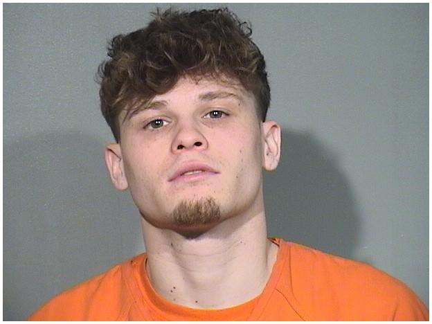 Mugshot of COLIN L WILLIAMS