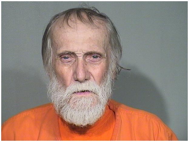 Mugshot of WAYNE J CHRISTIANSEN