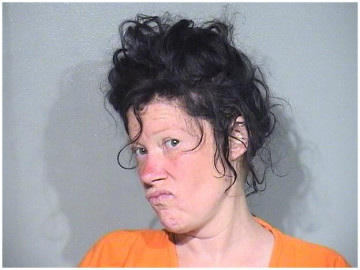 Mugshot of NELLE M ANDREWS