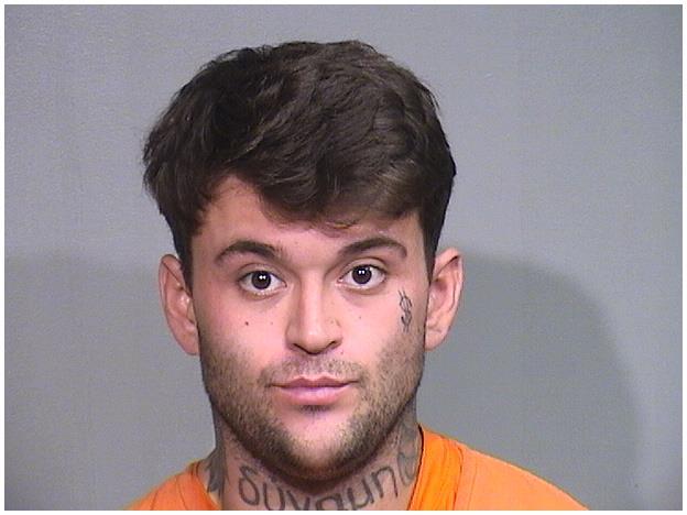 Mugshot of STEPHEN A DRACOUSIS