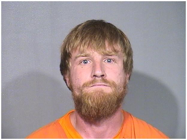 Mugshot of DYLAN P BRUENS