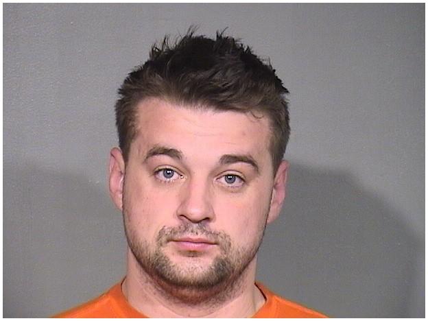 Mugshot of NICK P WHELAN