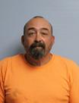 Mugshot of MICHAEL L DAHL
