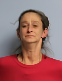 Mugshot of AMY L HOUSTON