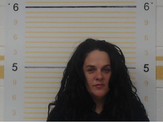 Mugshot of Angela Nichole Horn