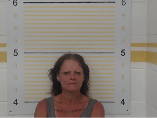 Mugshot of Tammy Dee Gettings