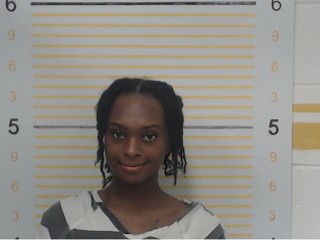 Mugshot of Angelina Victoria Nesbitt