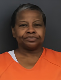 Mugshot of WANDA DANELLE LEVI