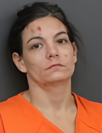 Mugshot of DESIREE LEANNE SKELLEY