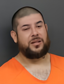 Mugshot of BERZAYN EBER TORRES