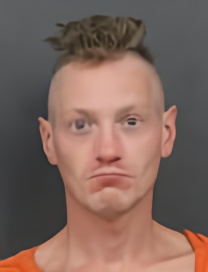 Mugshot of LUCAS MICHAEL DWYER