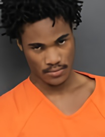 Mugshot of MARK DEVON JACKSON