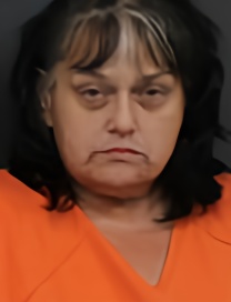 Mugshot of KIMBERLY ANNE JENKINS