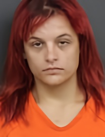 Mugshot of MAISY LEE VINCENT