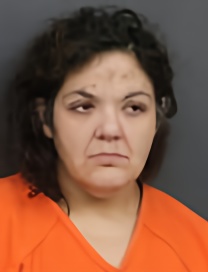 Mugshot of VANESSA L HOWARD