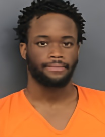 Mugshot of NILSON V NOUNKOUNON