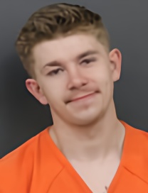 Mugshot of RYAN LEE WOOLLEY