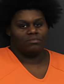 Mugshot of ASHLEY DIVINE COMBS