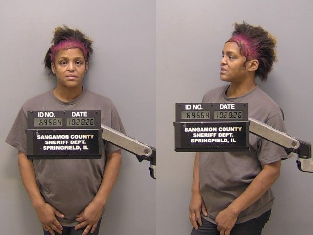 Mugshot of TASHONA A JOHNSON