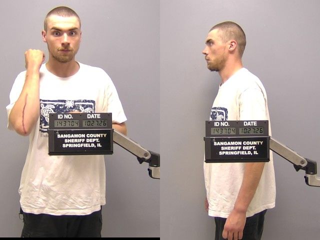 Mugshot of DAVID A WILEY