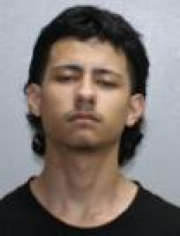 Mugshot of OSCAR U OVALLE-TORRES
