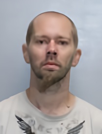 Mugshot of RICHARD ROY BORGMANN