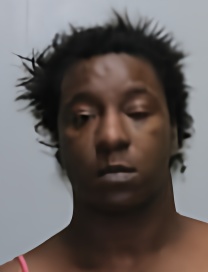 Mugshot of TASHAY S GILES