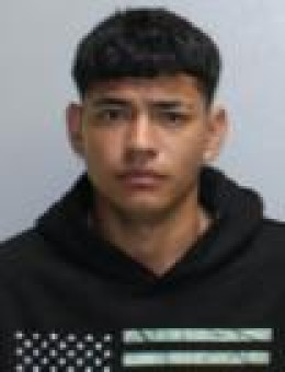 Mugshot of HUGO RAFAEL FLORES-ARGENAL