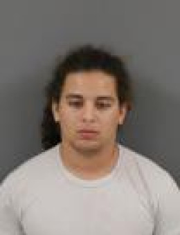 Mugshot of ALLAN S FURMAN