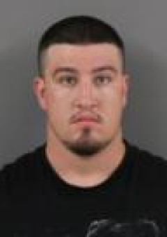 Mugshot of DAVID J LOHNES