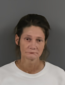 Mugshot of TAMARA L GADDIS