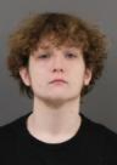 Mugshot of HARRISON E WEBB
