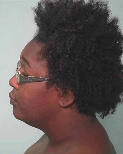 Mugshot of Brianna Phillips