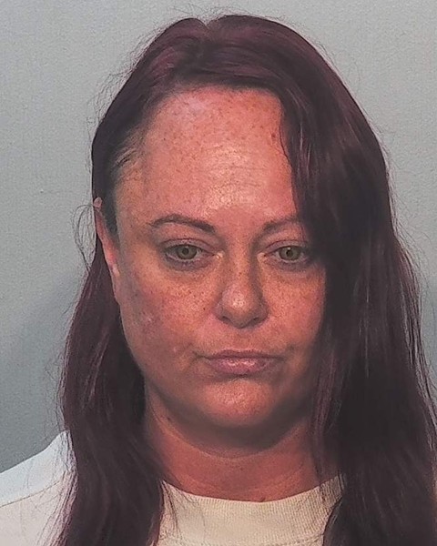 Mugshot of Amy Mcclain