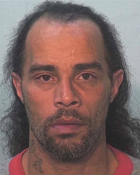 Mugshot of Mario Howlett