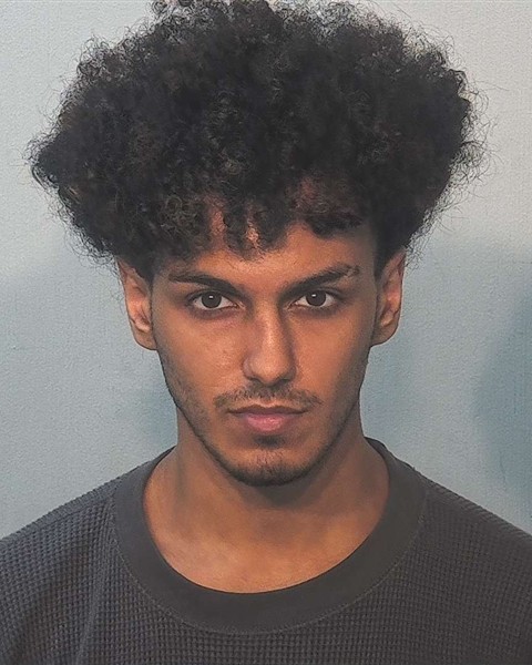 Mugshot of Mohamed Aamer
