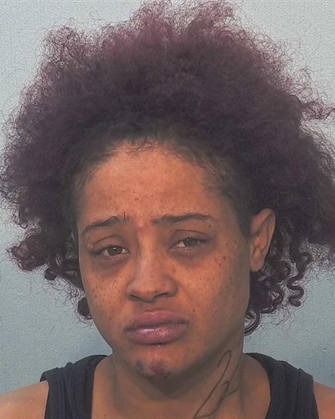 Mugshot of Nichelle Rothgeb