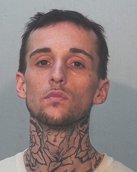 Mugshot of Levi Frank